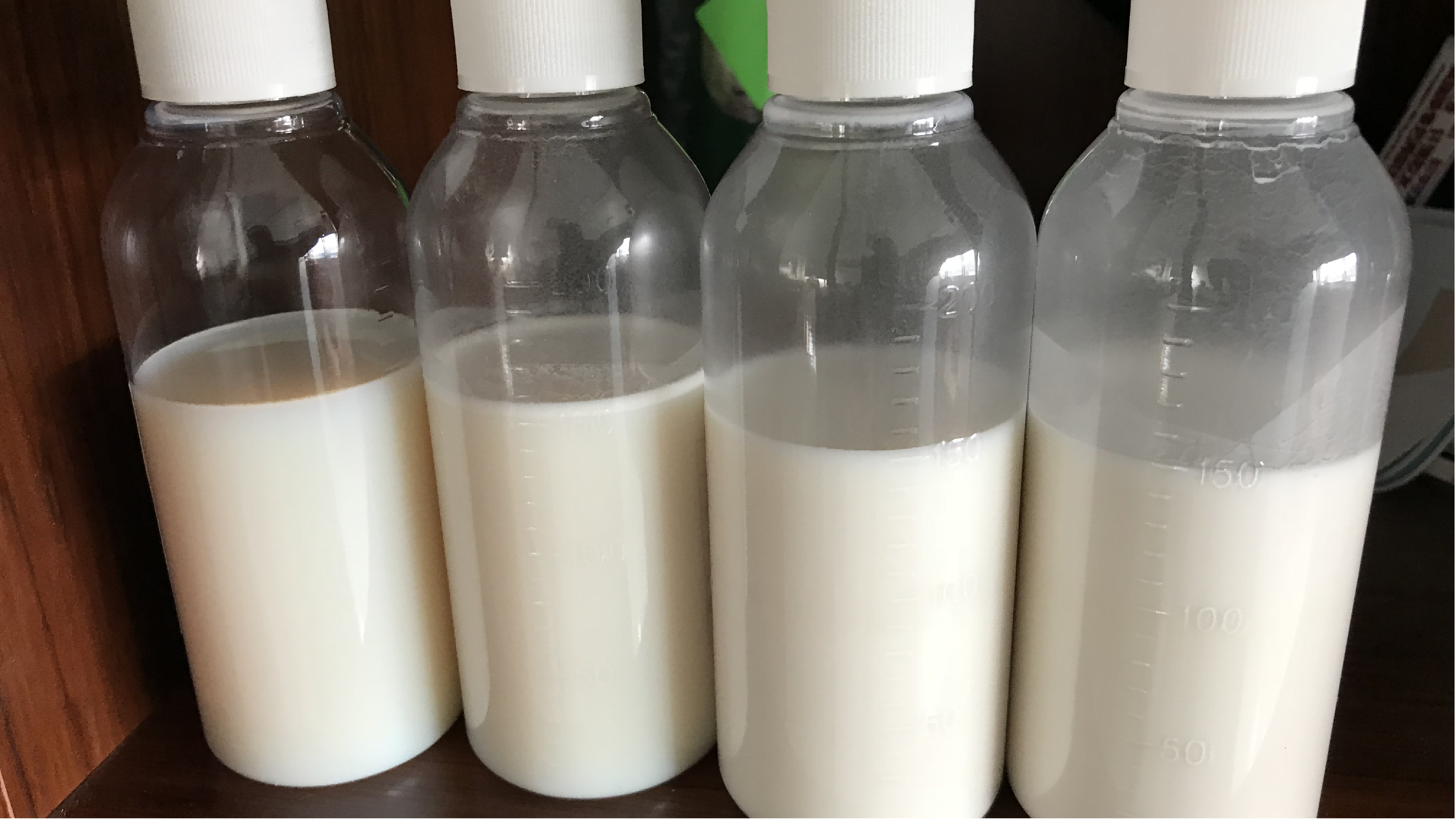 1766987718244678.png 胶水出口订舱.png