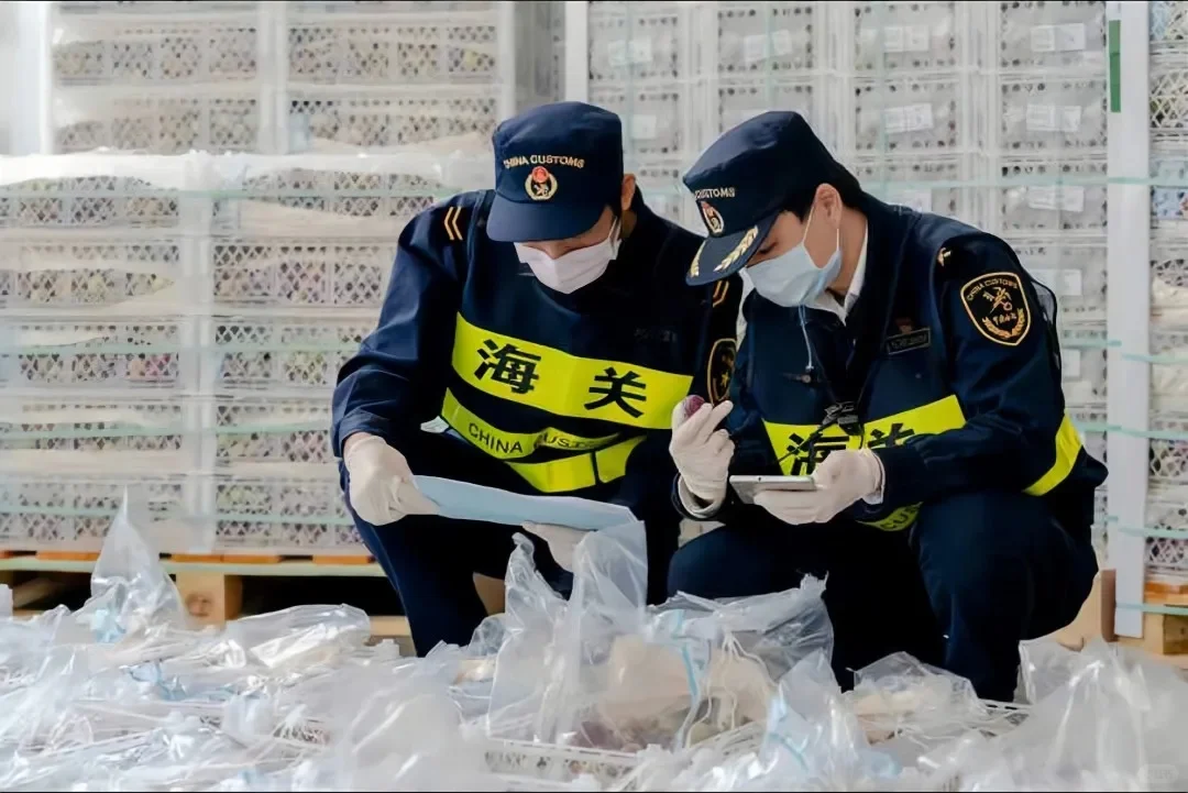 海关检查.png